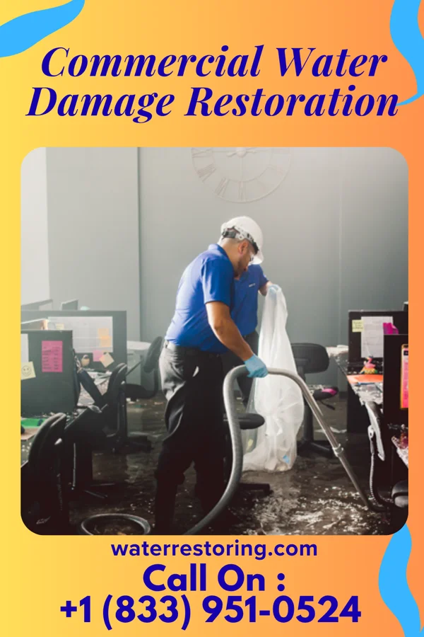 Commercial Water Damage Restoration in Minneiska, MN