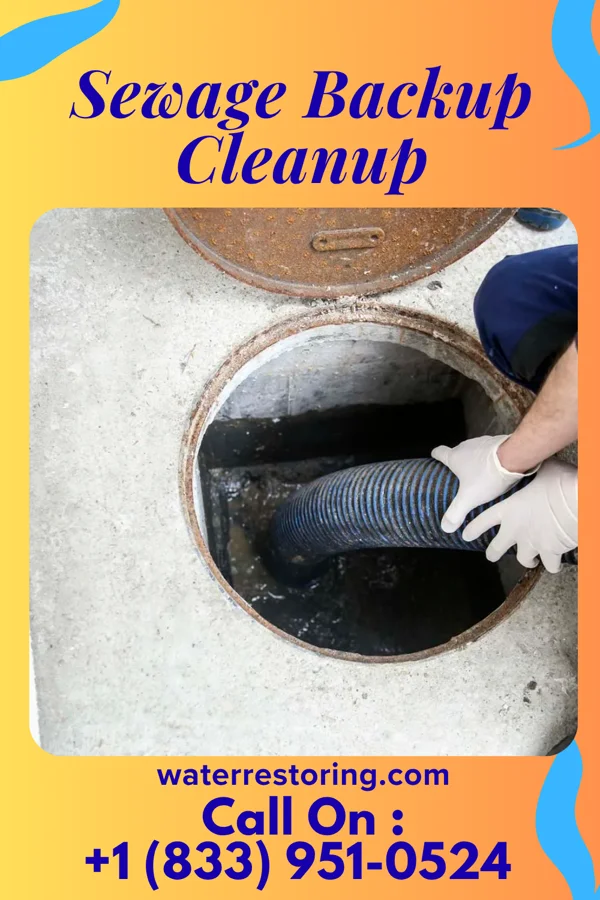Sewage Backup Cleanup in Minneiska, MN